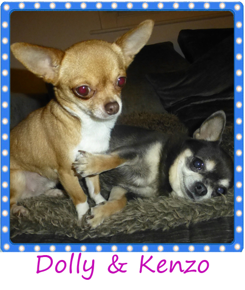 z DOLLY and KENZO