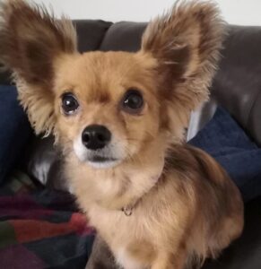 Annie