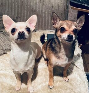 clyde (with brother)