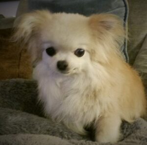 Frankie ..