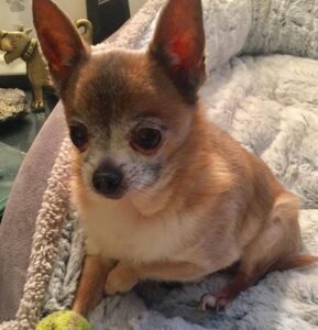Milo