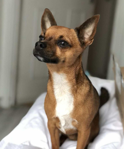 090ac91b-e752-4d23-b70a-98626231922a