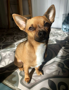 0f2c5bc2-f946-4407-8617-ca91a7da3597