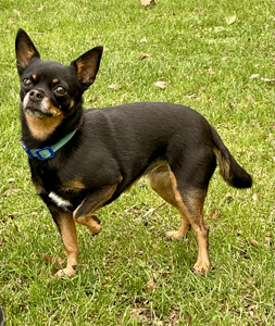 142f523d-0295-486f-9db7-fc1b9c1819c3