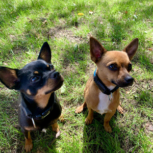 312f8fca-966e-4e5d-b989-d88d9bd8b35f