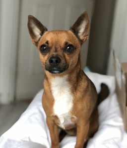 32b5006a-85f7-4a61-a293-4affd0fa51c1