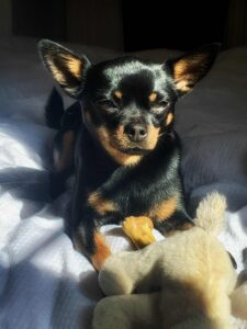 4ebe8ce0-b5ca-4850-aaf5-8aeb41f0e53d