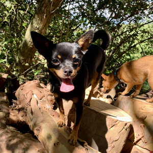 8746124f-4954-4871-841c-aa0b3285b8d0