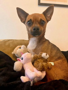 8d39cf62-a817-4d14-bb97-215fb65395e2