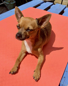 c5e58024-95aa-4ce7-8f00-25dc908b6cd8