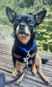 d8faa28d-1af7-4568-86e5-7d1ab648dbb7