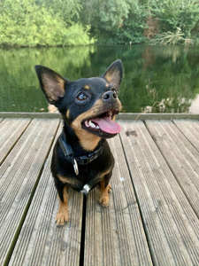 e2807e1f-357c-4289-a6b9-1b772a1d4841