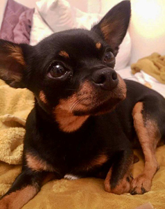 e7af3b45-6e70-45c9-b310-8ddec3877b74