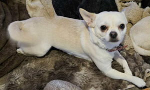 054f7f41-131b-4ef4-aff4-14b7a630e470