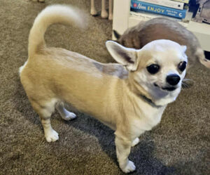 0a5fd745-fb24-48fe-96b5-a248f82a5611