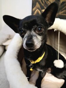 0bd24933-e504-4c58-8abc-3eafa41a0062