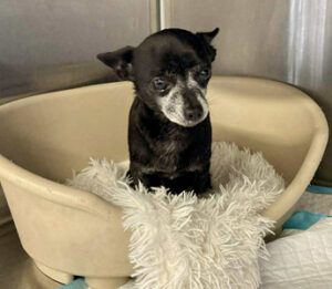 149f3523-fda6-49be-a630-36ae450e18c1