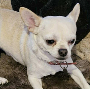 255468a9-f436-4d2d-89b8-f33e19b3b81a