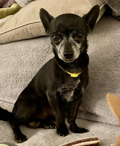 32b67598-3905-4190-8f75-d157a15aacc2 (1)