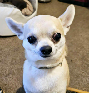 5bb6cef2-c038-4b5e-9dbe-75d7a17ae0b5