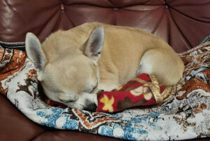 5c02c09a-ea94-4a54-bb56-fe28f2edcb5d