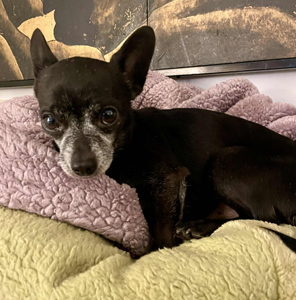 61ab4210-b100-47f8-a9f5-ec7bde2b7766