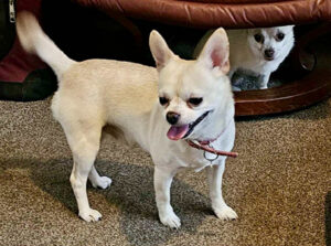 76d8def3-d705-4d8c-8ccf-596703a59bd0