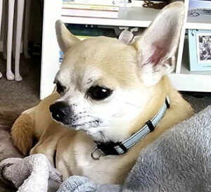 8b81afda-77d8-4a81-b415-993efa61db38