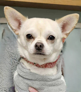 af61ca56-2b71-4a53-93c7-5b794a46216e