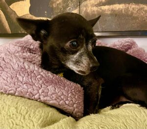 c24cfefd-ec4a-4e7a-a3ec-fb5c77b195d8