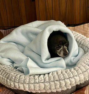 c4b15781-4125-4969-a4be-71a04dcfe045