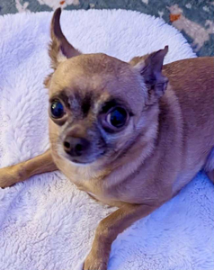 23d4cae4-1546-4505-9511-bef9bea2f7d8