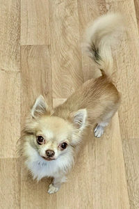 3591388c-1df7-486c-8fef-d5c640b6f351