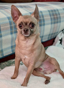 508502fe-0d8f-48bd-baba-320ea9268863