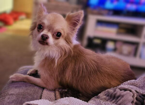 5d4d9ba2-c1e5-46af-beb1-0a70afd69cba