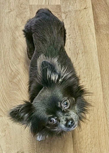 6e335823-6166-4605-a7c7-6b718e7bd6d0