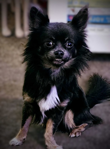 92e3ae03-c73a-4383-b359-961fcc757a86