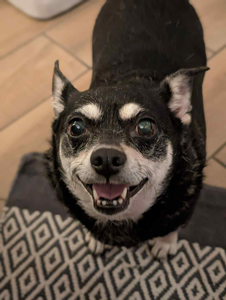 c6d23d77-eadc-4617-8ff8-e9fb79b6b3a2