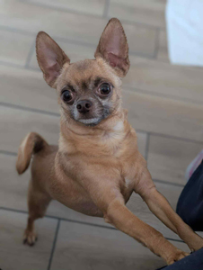 d2e6353a-1ad9-45ed-aa55-c2e563cccb3f