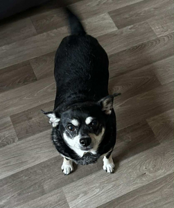 f1dc0728-84d9-4bd8-a302-26c96e5c5d4d