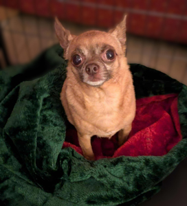 f634dbdc-a143-41d5-83cb-ab60bb49a6ac