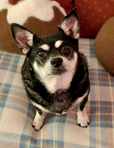 f7add141-16c4-42df-a330-f096bd940f47