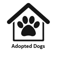 2026 adopted dogs icon