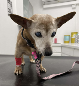 379221e3-48d9-4ee9-9cf1-8b630b98fa54