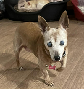 46546892-c692-4b24-9383-5c0a5703dc3f