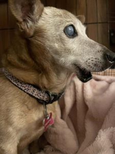 527196a5-f246-44ad-b5e9-068ab252f577