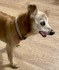 79a33585-0fc4-4be5-a638-8659de774d07