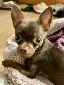 22282cf4-2e75-414f-abcb-3a5cdc7c9cd4