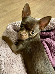 2345b496-f20c-4e23-8c56-30cf2ce3fe1b