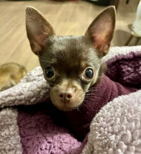 23c92ddd-f14c-43ca-a7e6-9a458cd45f8f